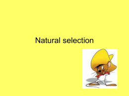 Natural Selection - Education Scotland