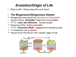 Evolution/Origin of Life