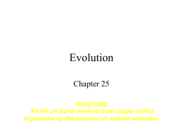 Great Idea: All life on Earth evolved from single