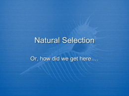5_Week_of_February_6-11,_2012__files/Natural Selection PPT