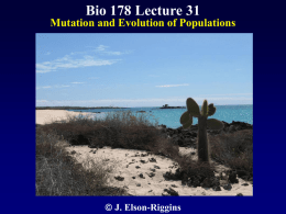 Biol 178 Lecture 31
