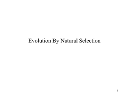 Theory of Evolution By Natural Selection