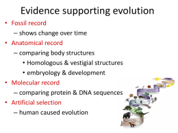 Unit 15.2 Evidence of Evolution PowerPoint