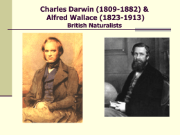 Lecture: Darwin and Wallace