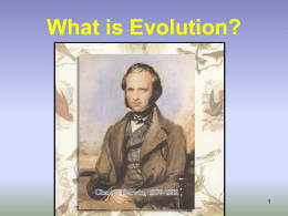 Evolution_3