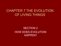 chapter 7 the evolution of living things