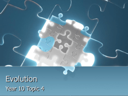 Evolution - 10Science2-2010