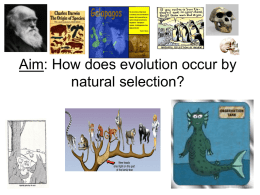 How does evolution occur by natural selection?
