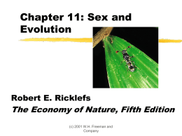 Chapter 11: Sex and Evolution