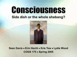 Consciousness - UCSD Cognitive Science