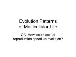 Evolution Patterns