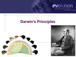 Darwinsprinciples