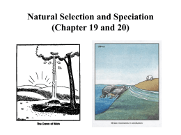 Outcomes of Natural Selection (Chapter 19)