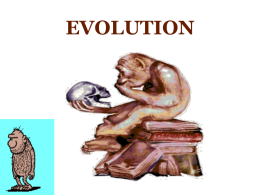 CHAPTER 15 Evolution