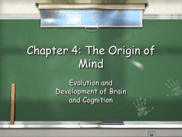 Chapter 4: The Origin of Mind