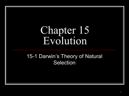 Ch. 15 The Theory of Evolution
