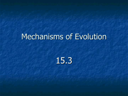 Evolution Lecture #2
