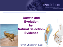 Evolution-Darwin and Natural Selection