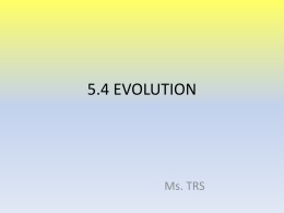 evolution - tsaraswathy