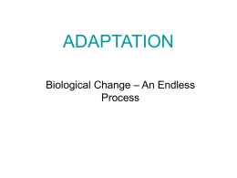 adaptation - BigHistory