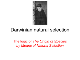 Darwin`s finches