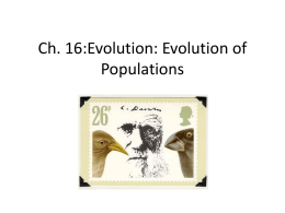 Evolution: A Change In A Population