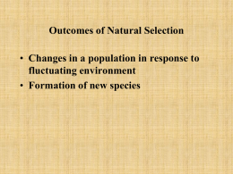 Formation of Species
