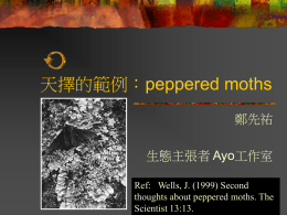 天擇的範例：peppered moths