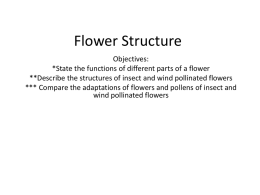 Flower Structure - onlinebiosurgery