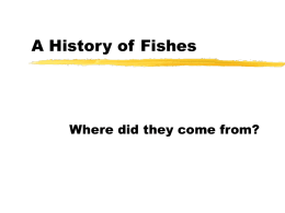 Fishes - CFCC.edu