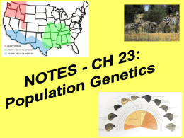 Chapter 23 Notes: Population Genetics