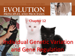 Chapter 12 Individual Genetic Variation and Gene Regulation