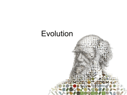 Evolution - Industrial ISD