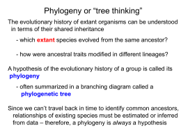 lecture 03 - phylogenetics - Cal State LA