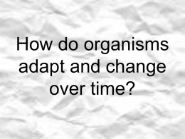How do organisms sometimes change over time?