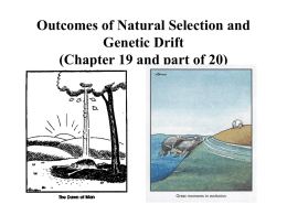 Outcomes of Natural Selection (Chapter 19)