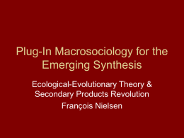 Macrosociology and the Emerging Synthesis