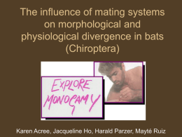 Sex for Food: the influence of mating systems to morphological and
