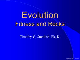 Evolution-Fitness and Rocks