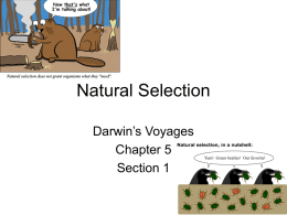 Darwin`s Voyage
