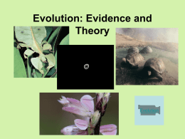 Evolution: Evidence and Theory Ch 15