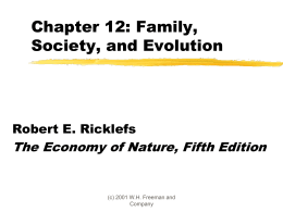 Chapter 12: Family, Society, and Evolution