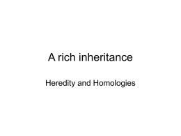 A rich inheritance