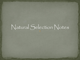 03 Natural Selection Notes