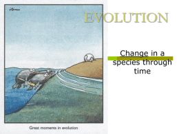 evolution - TeacherWeb