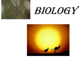 biology - Inside Break