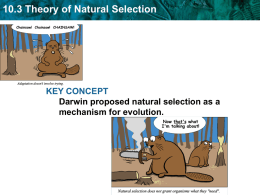10.3 Theory of Natural Selection