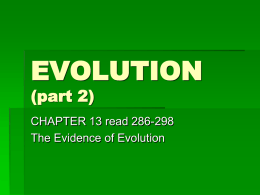 EVOLUTION (part 2)