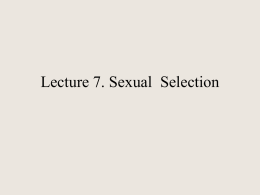 lecture7a.html