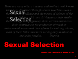 sexual selection modified